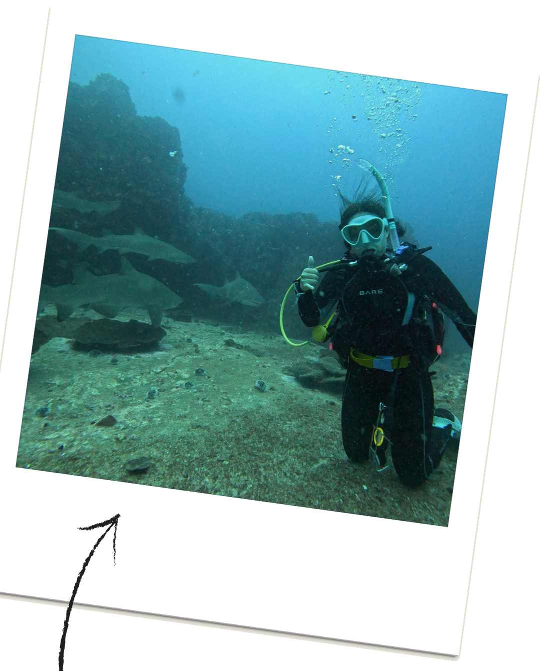 Bek scuba diving underwater