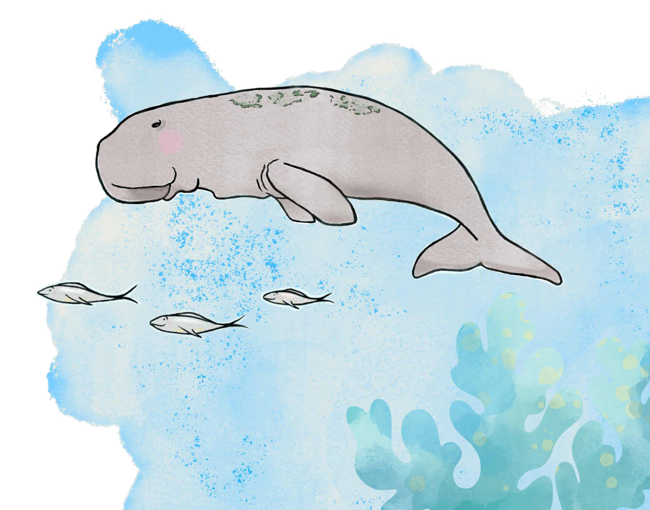 Dugong swimming through blue water with small fish